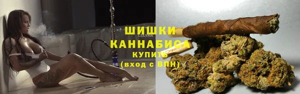 соль ск Белокуриха