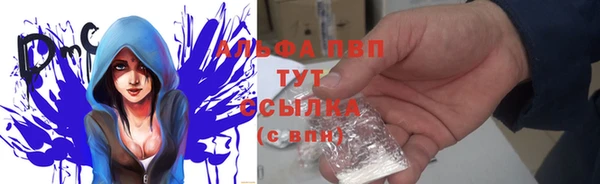 соль ск Белокуриха