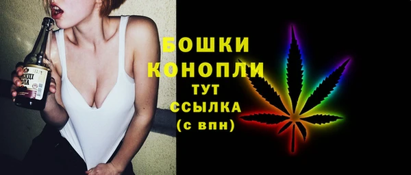 ГАЛЛЮЦИНОГЕННЫЕ ГРИБЫ Арсеньев