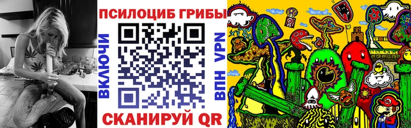 продажа наркотиков  Владимир  Галлюциногенные грибы Magic Shrooms 