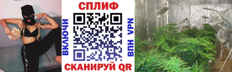 Канабис ГИДРОПОН  hydra ONION  shop состав  Владимир 